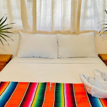 Casa Erizo Mahahual - Adults Only Villa ภายนอก รูปภาพ