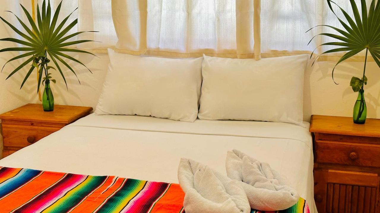 Casa Erizo Mahahual - Adults Only Villa ภายนอก รูปภาพ